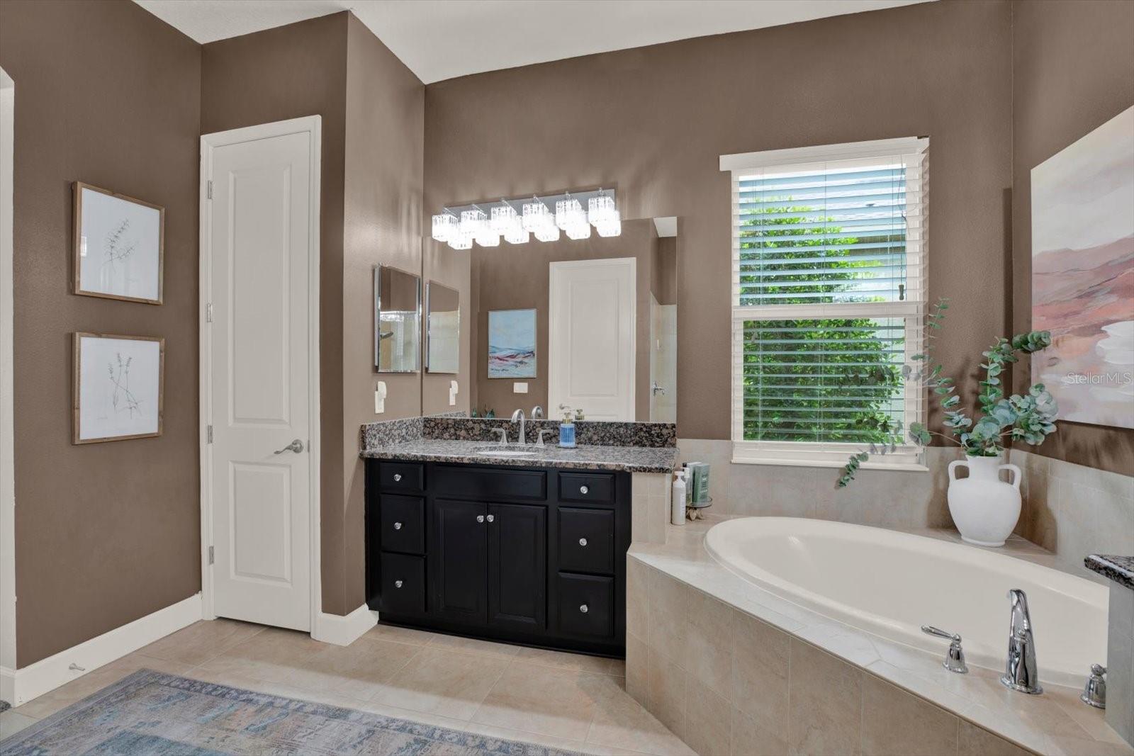9339 BELLA VITA CIR, LAND O LAKES, FL, 34637