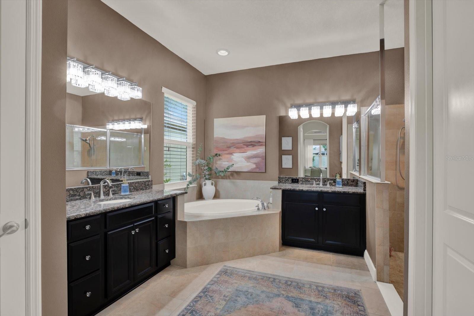 9339 BELLA VITA CIR, LAND O LAKES, FL, 34637