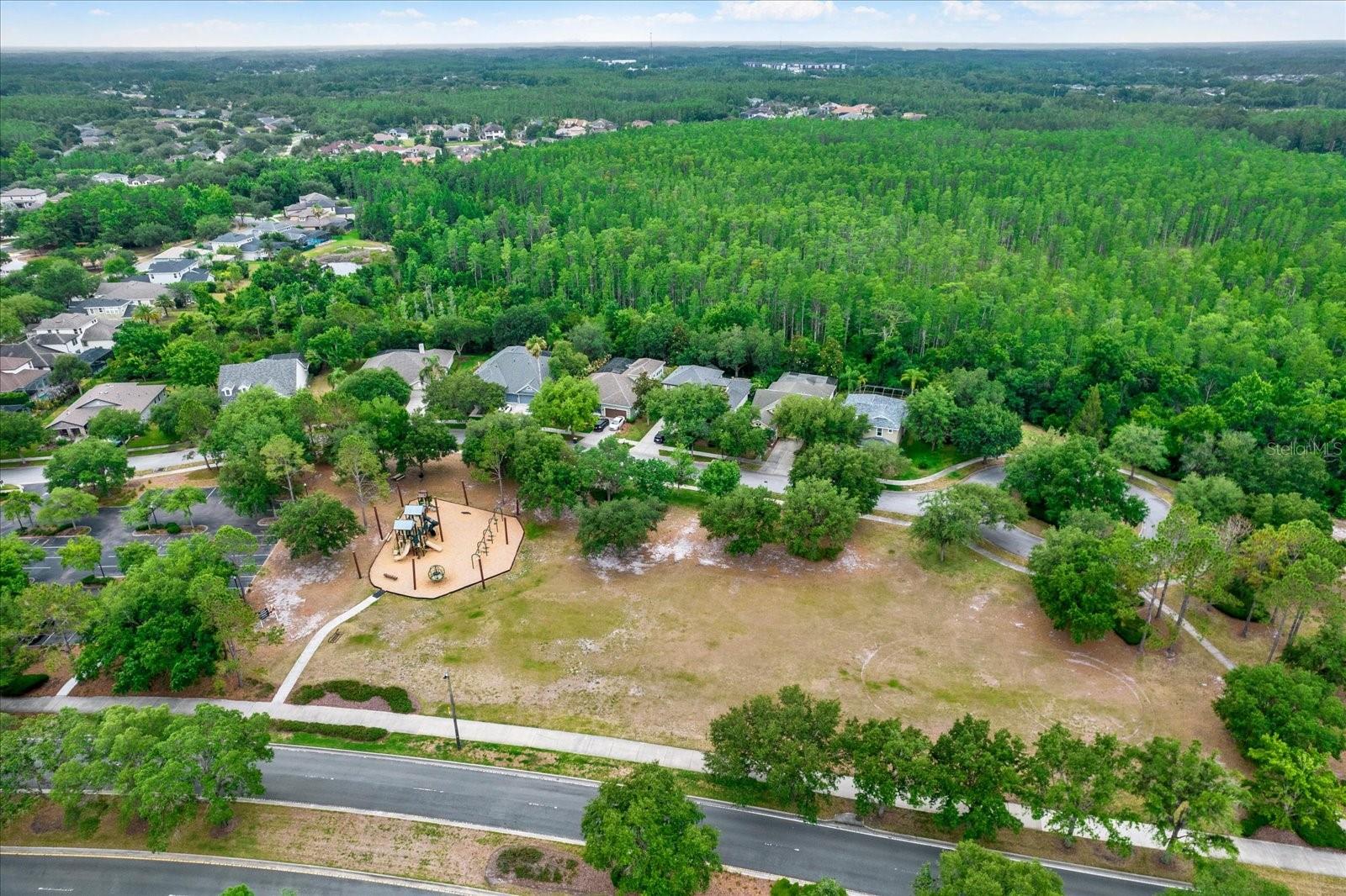 9339 BELLA VITA CIR, LAND O LAKES, FL, 34637