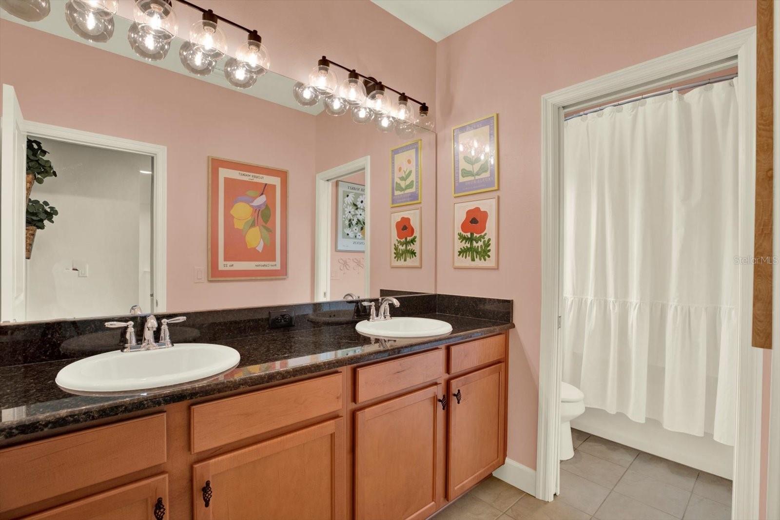 9339 BELLA VITA CIR, LAND O LAKES, FL, 34637