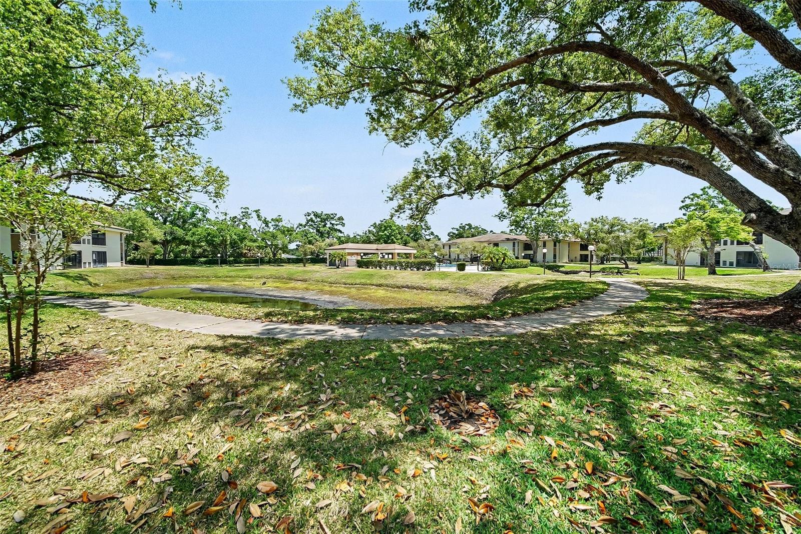 2700 NEBRASKA AVE #2-205, PALM HARBOR, FL, 34684