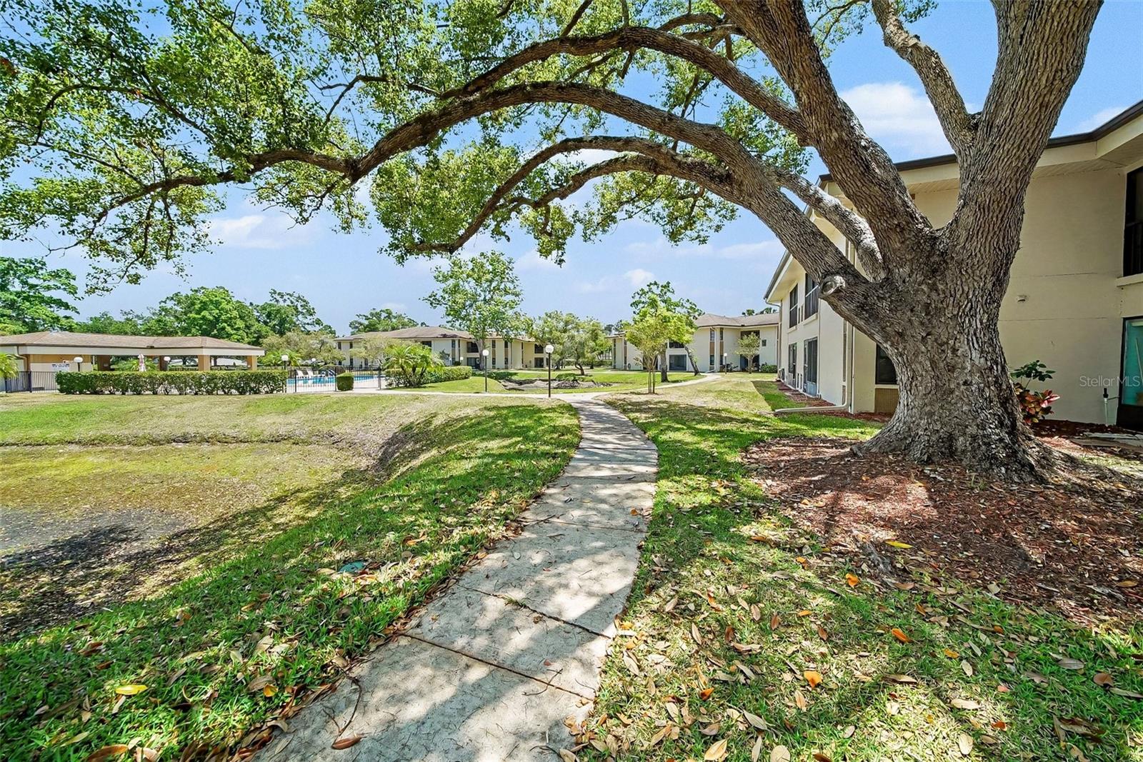 2700 NEBRASKA AVE #2-205, PALM HARBOR, FL, 34684