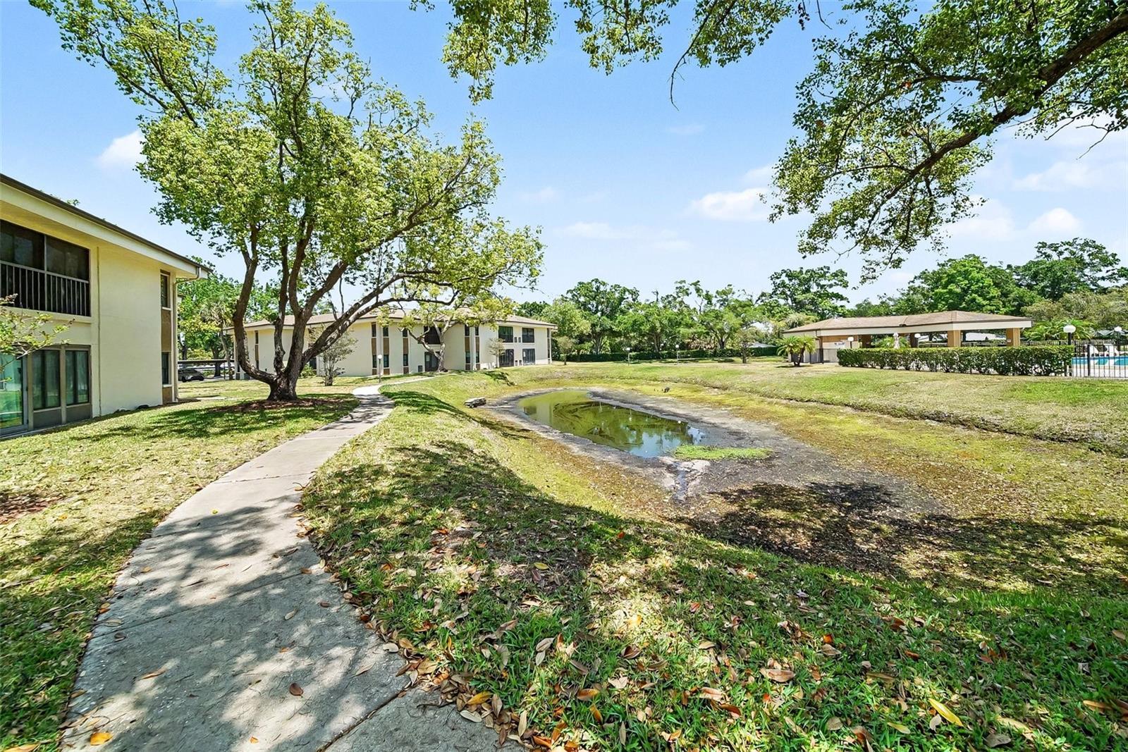 2700 NEBRASKA AVE #2-205, PALM HARBOR, FL, 34684