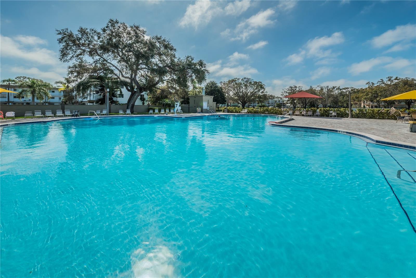 2040 WORLD PARKWAY BLVD #34, CLEARWATER, FL, 33763