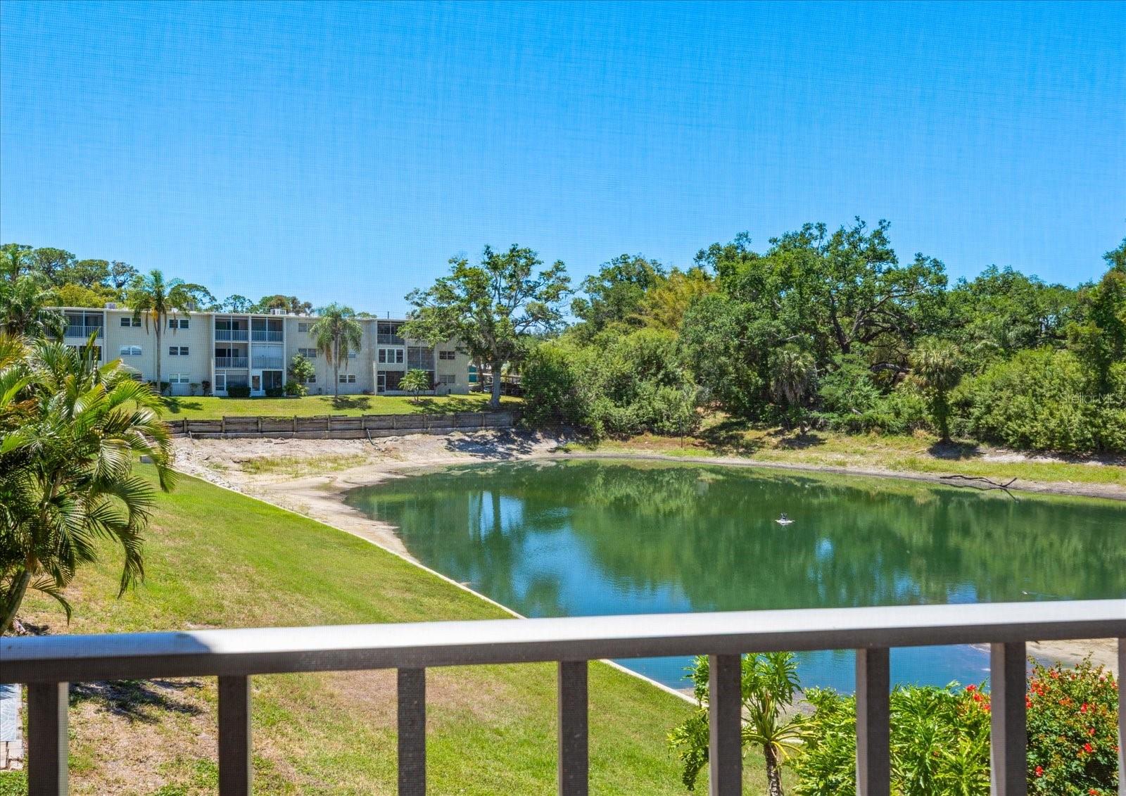 948 VIRGINIA ST #207, DUNEDIN, FL, 34698
