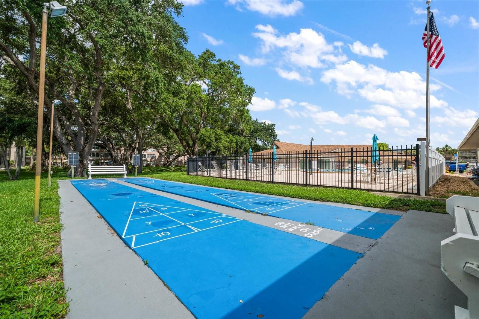 948 VIRGINIA ST #207, DUNEDIN, FL, 34698
