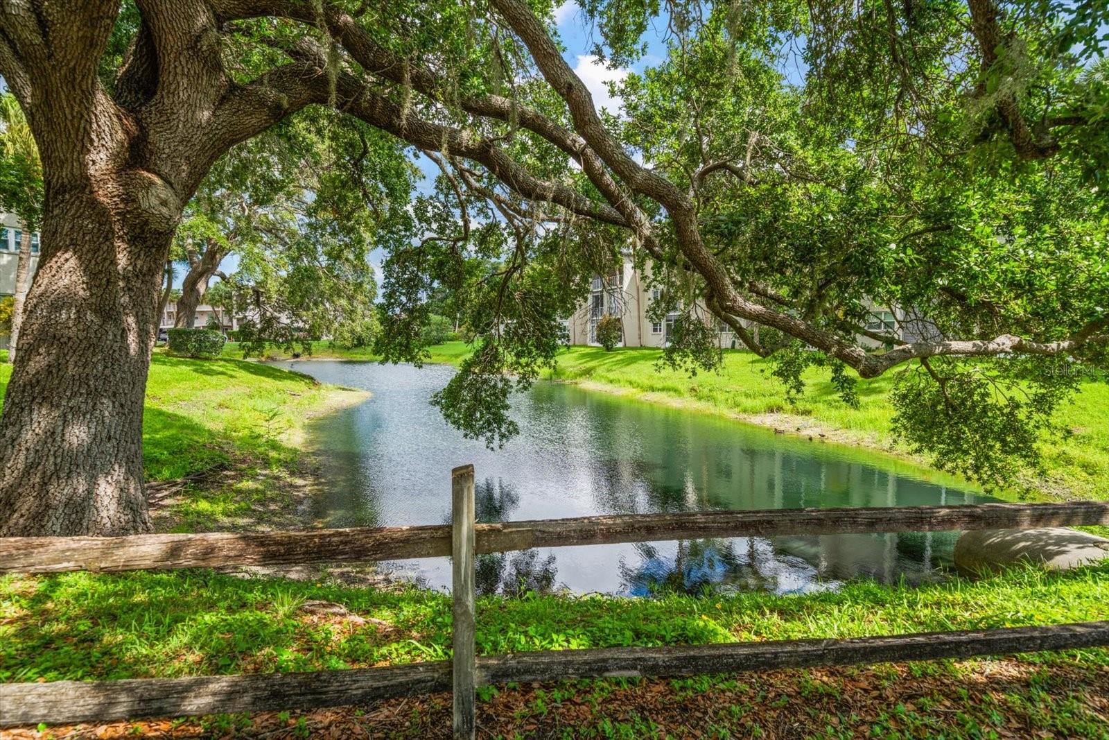 948 VIRGINIA ST #207, DUNEDIN, FL, 34698
