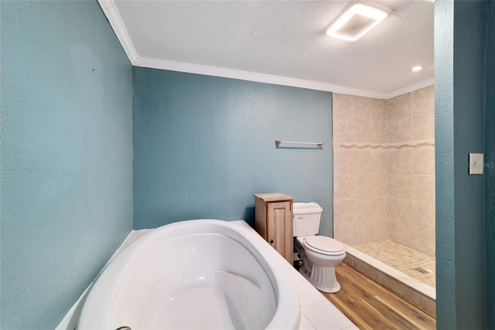 3747 SE 126TH PL, BELLEVIEW, FL, 34420