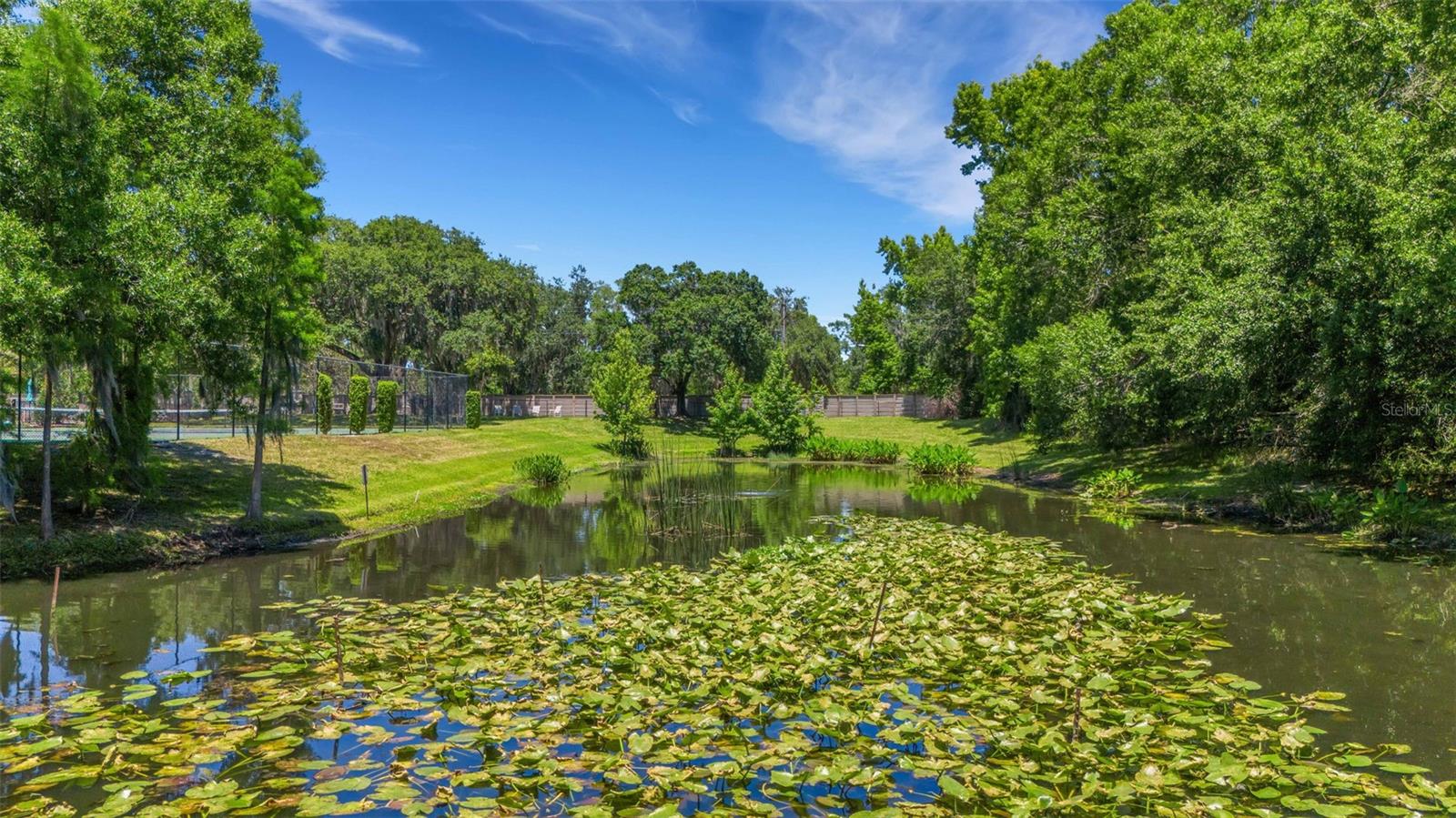 6560 LAKE CLARK DR, LAKELAND, FL, 33813
