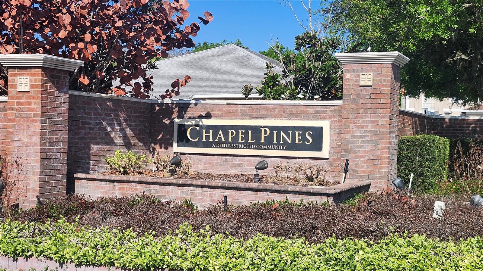 6535 TABOGI TRL, WESLEY CHAPEL, FL, 33544