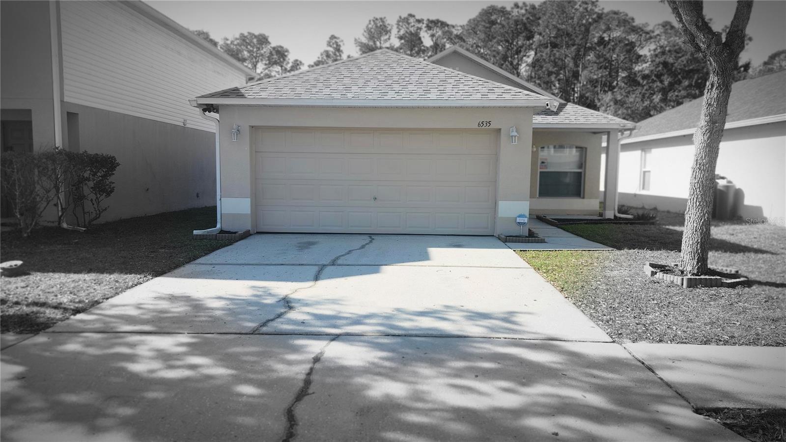 6535 TABOGI TRL, WESLEY CHAPEL, FL, 33544