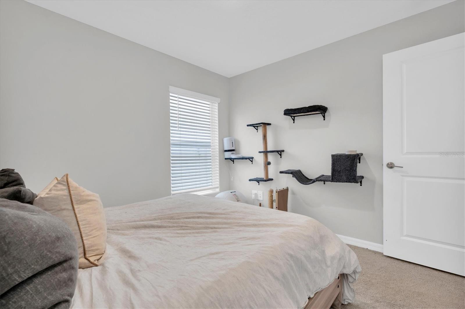10155 GENTLE RAIN DR, LAND O LAKES, FL, 34638