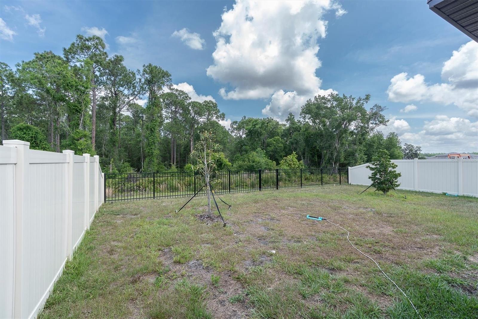 10155 GENTLE RAIN DR, LAND O LAKES, FL, 34638