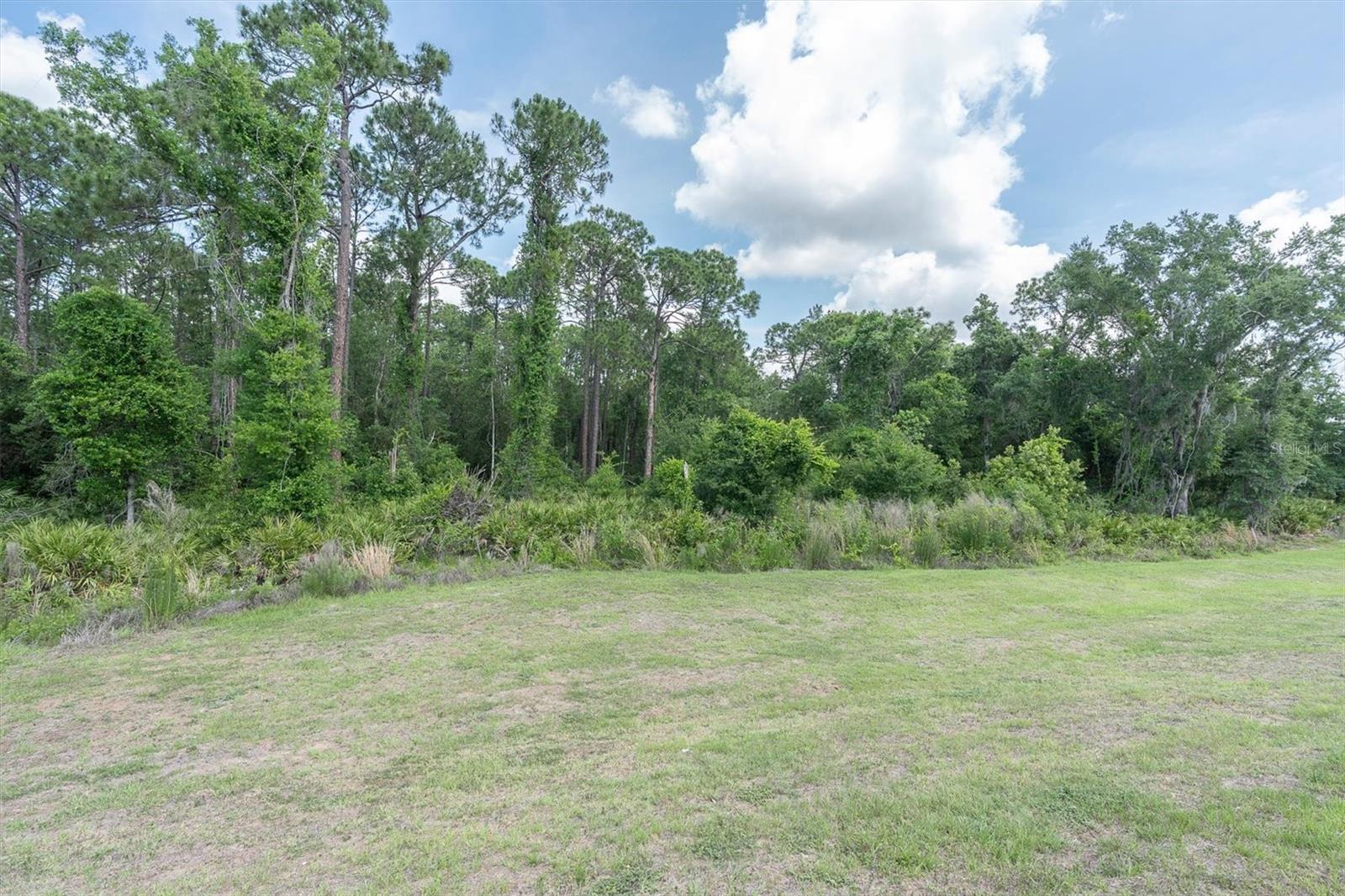 10155 GENTLE RAIN DR, LAND O LAKES, FL, 34638