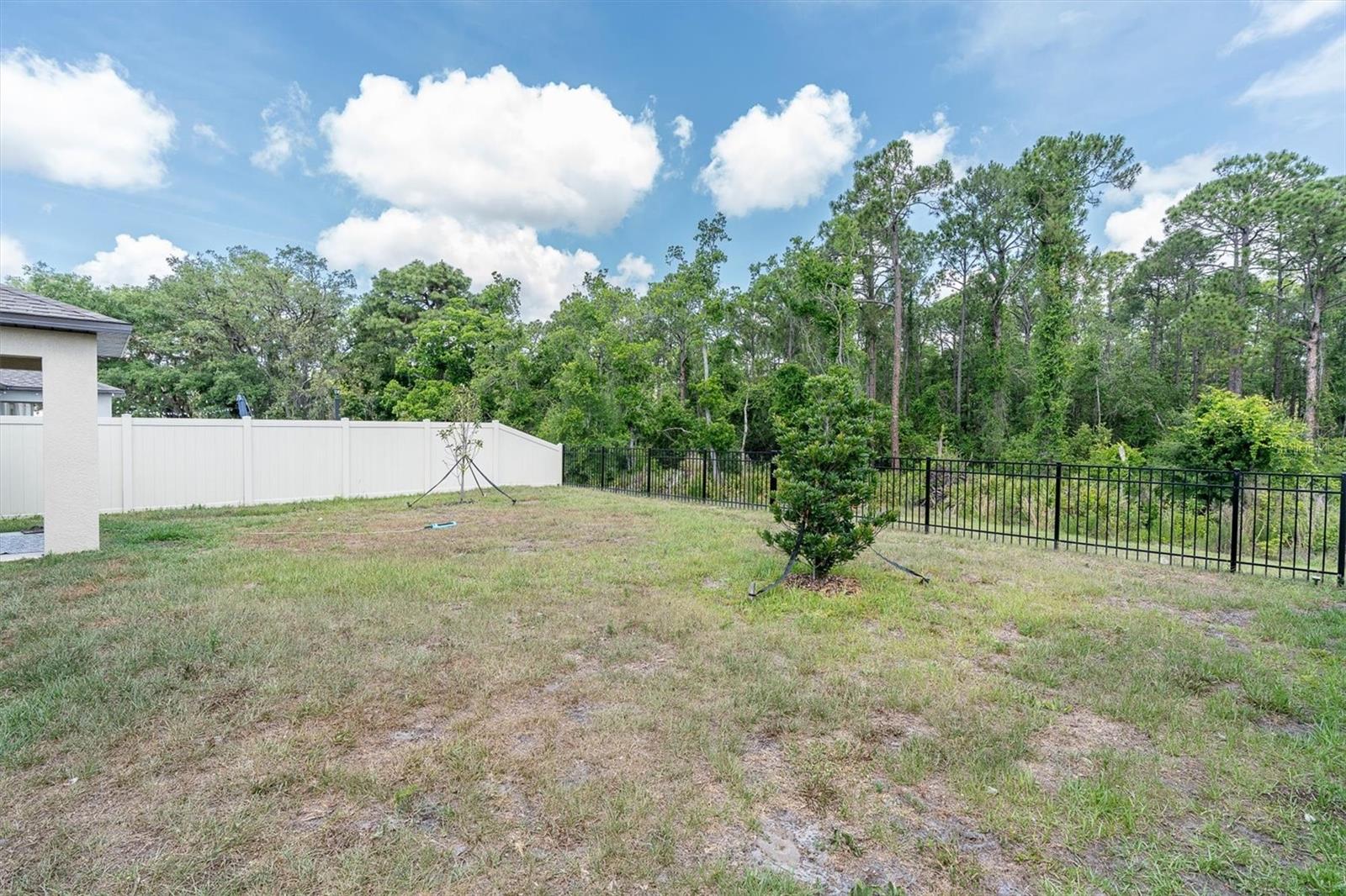 10155 GENTLE RAIN DR, LAND O LAKES, FL, 34638