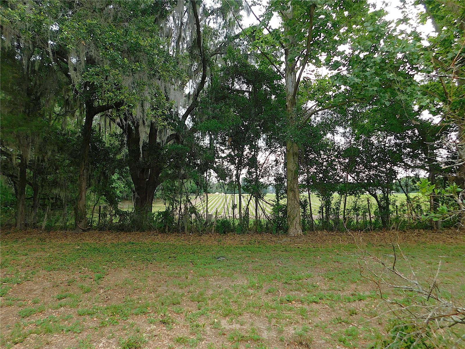 6875 NE 25TH AVE, OCALA, FL, 34479