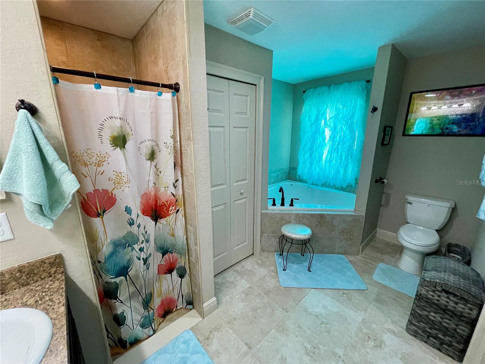 3920 SE 142ND ST, SUMMERFIELD, FL, 34491