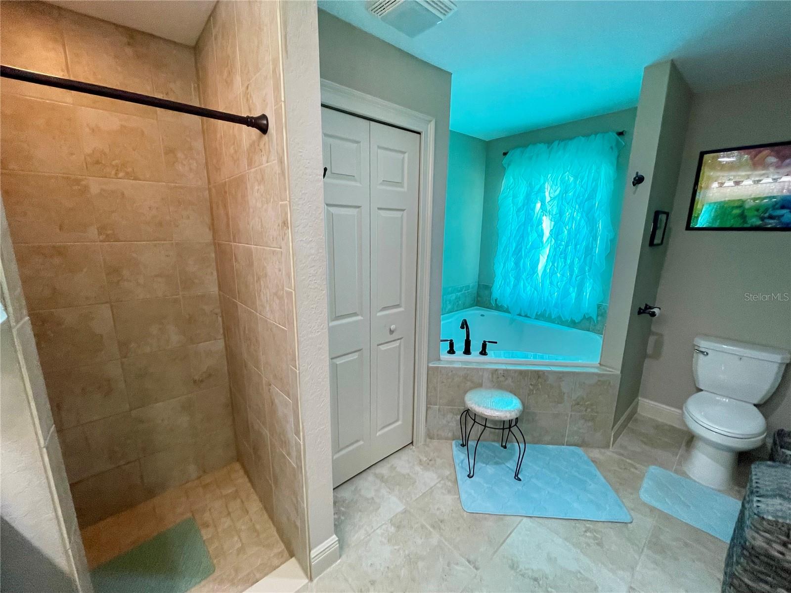 3920 SE 142ND ST, SUMMERFIELD, FL, 34491