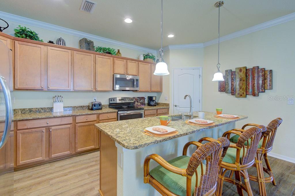 20650 ROMAGNA PL, VENICE, FL, 34293