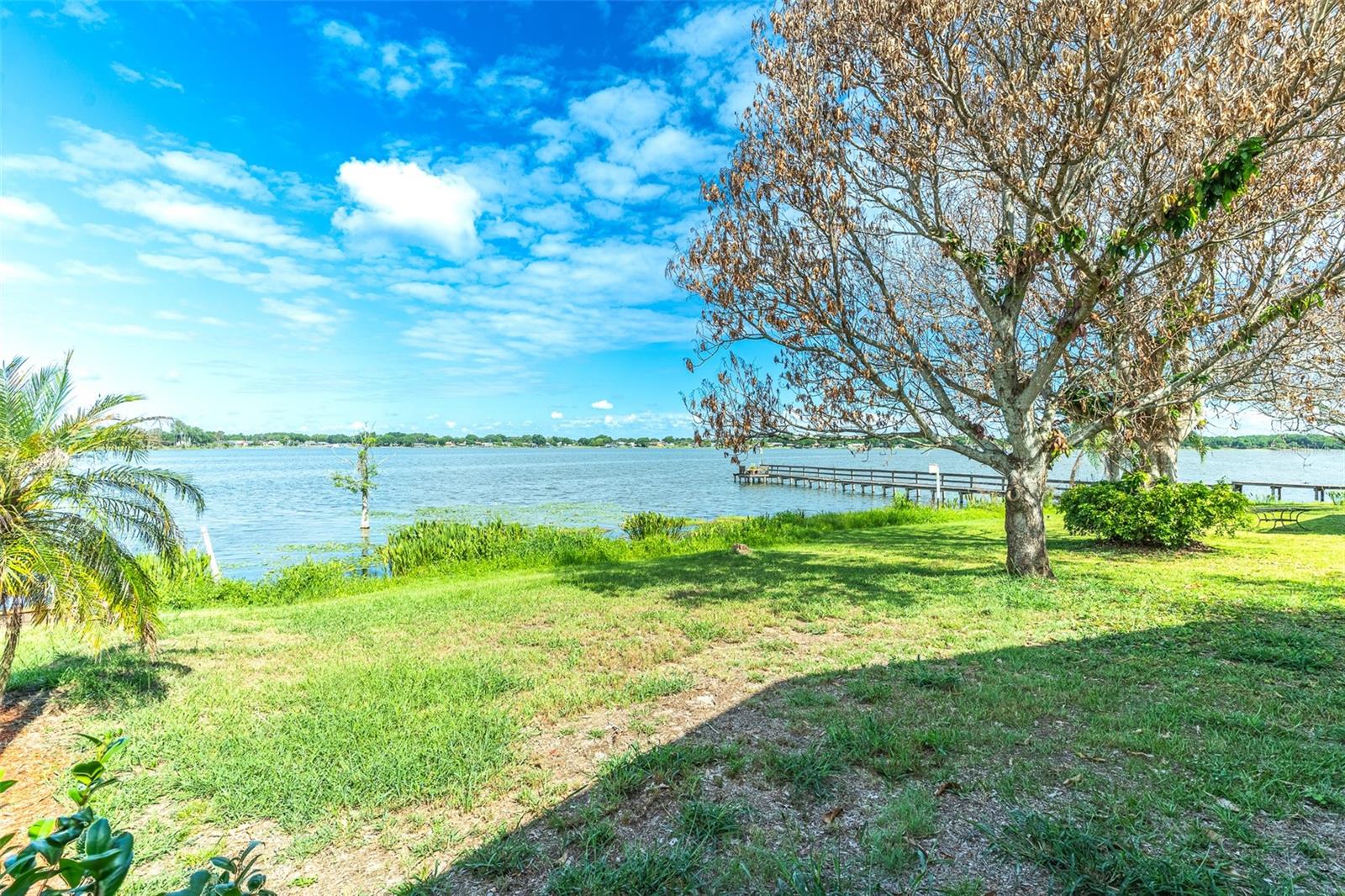 715 S LAKESIDE TER, EAGLE LAKE, FL, 33839