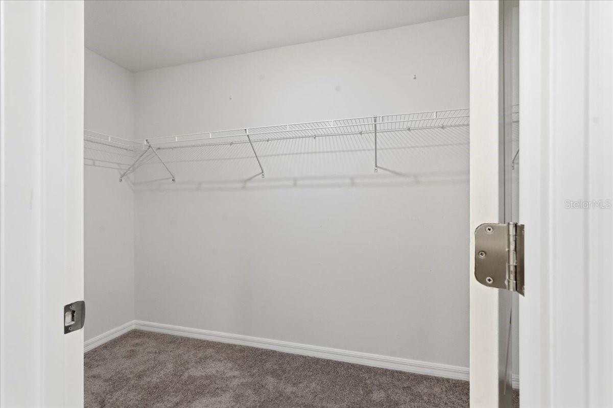 5224 WHITE CHICORY DR, APOLLO BEACH, FL, 33572