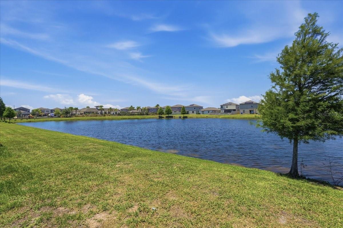 5224 WHITE CHICORY DR, APOLLO BEACH, FL, 33572