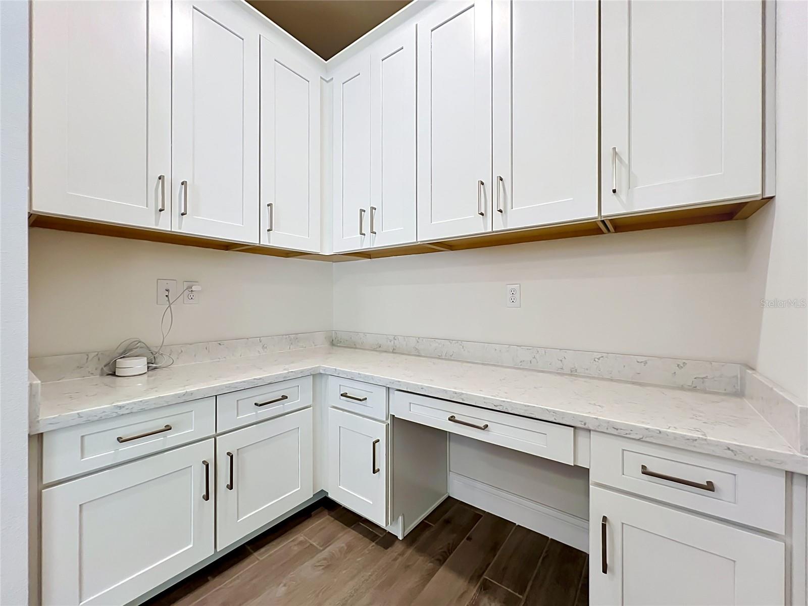 8409 VIVARO ISLE WAY, WINDERMERE, FL, 34786