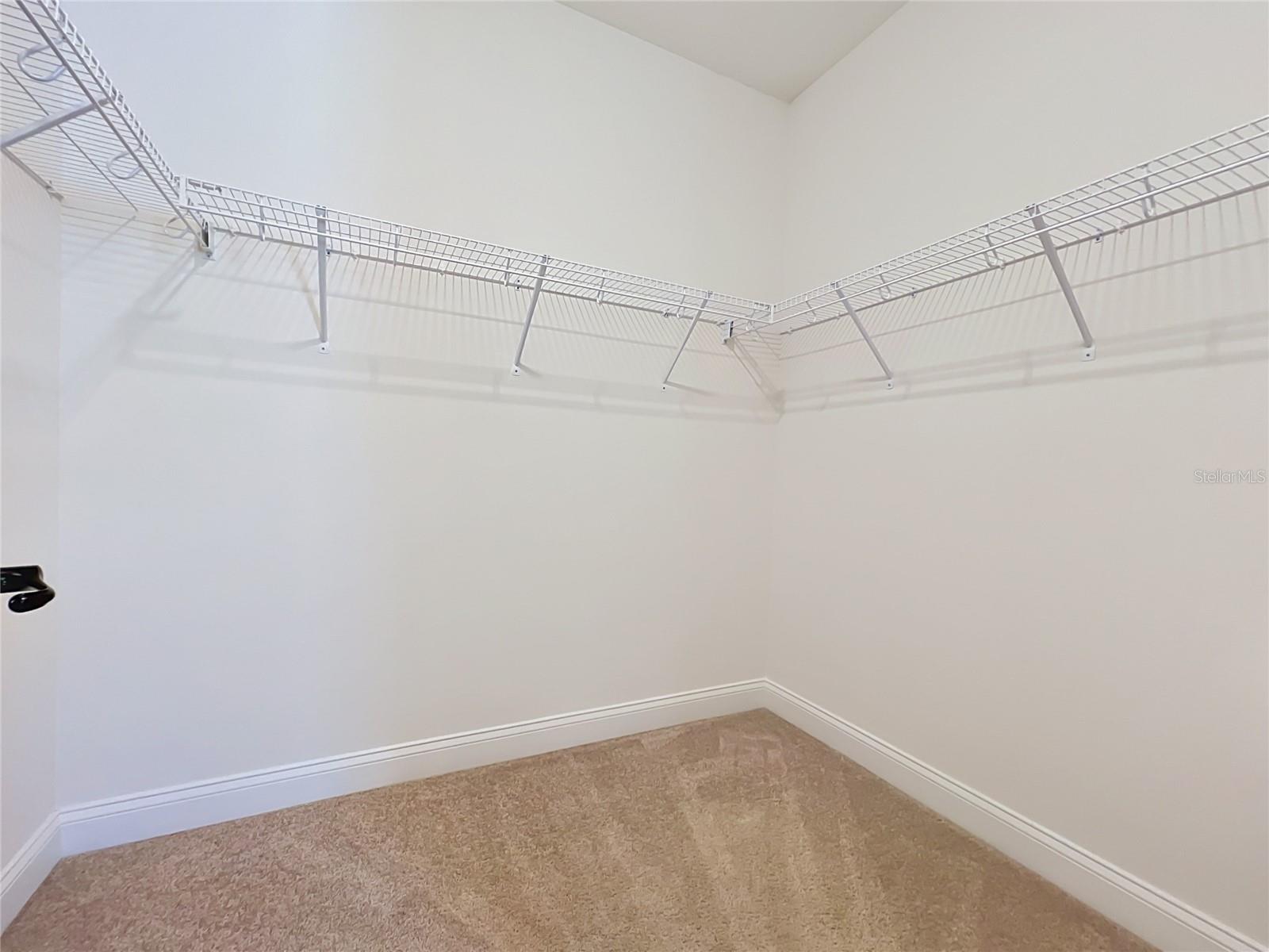 8409 VIVARO ISLE WAY, WINDERMERE, FL, 34786