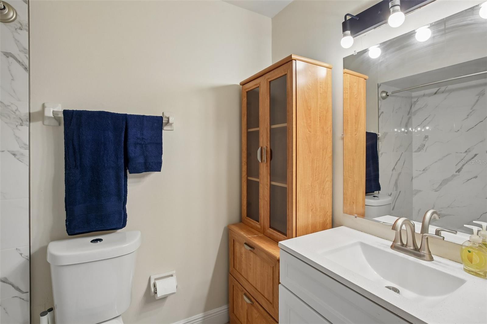4828 GROVE POINT DR, TAMPA, FL, 33624