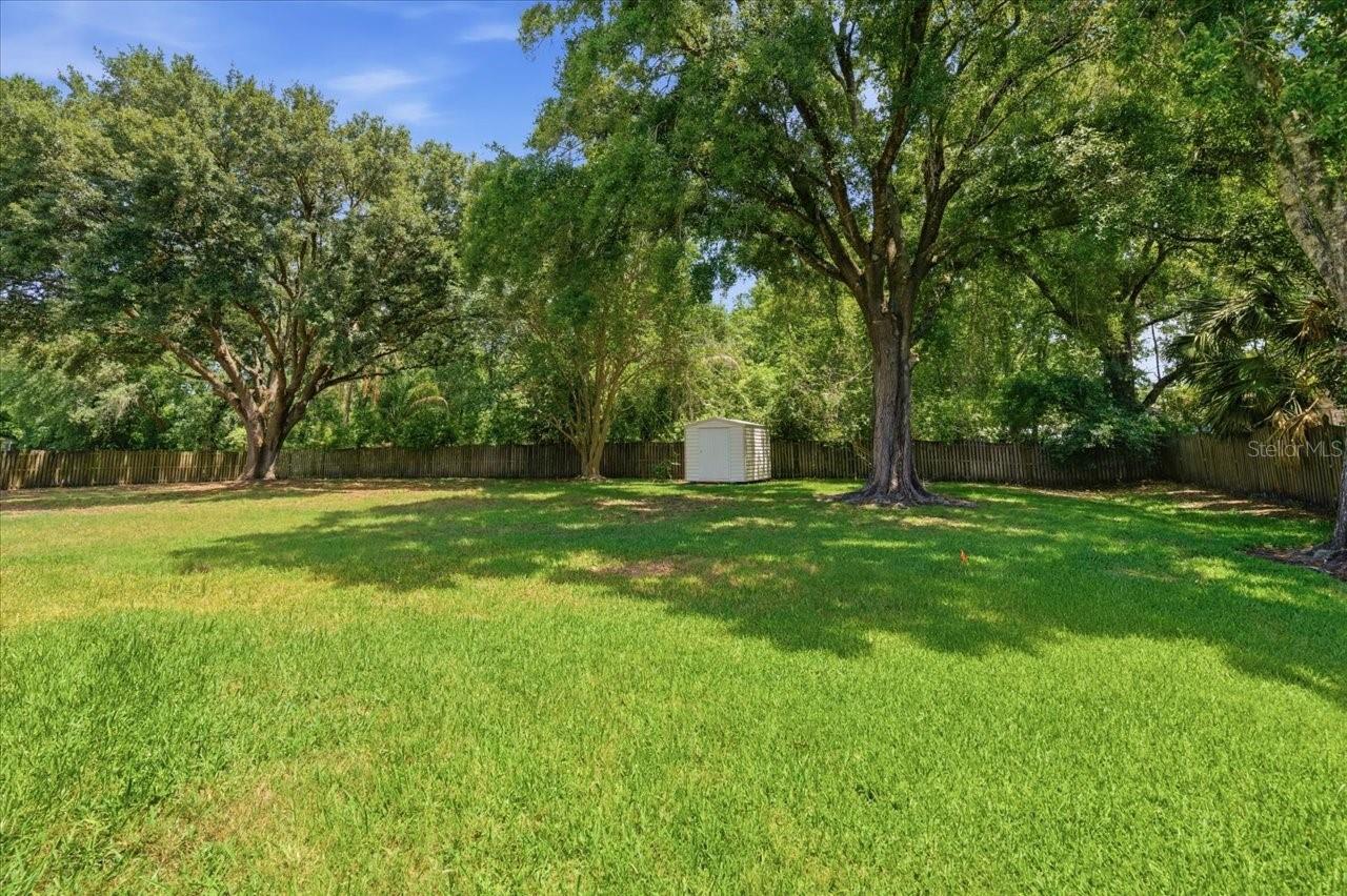 3902 MEADOWLARK CT, LAND O LAKES, FL, 34639
