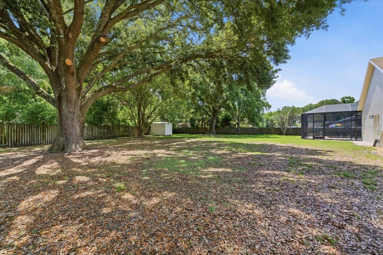 3902 MEADOWLARK CT, LAND O LAKES, FL, 34639