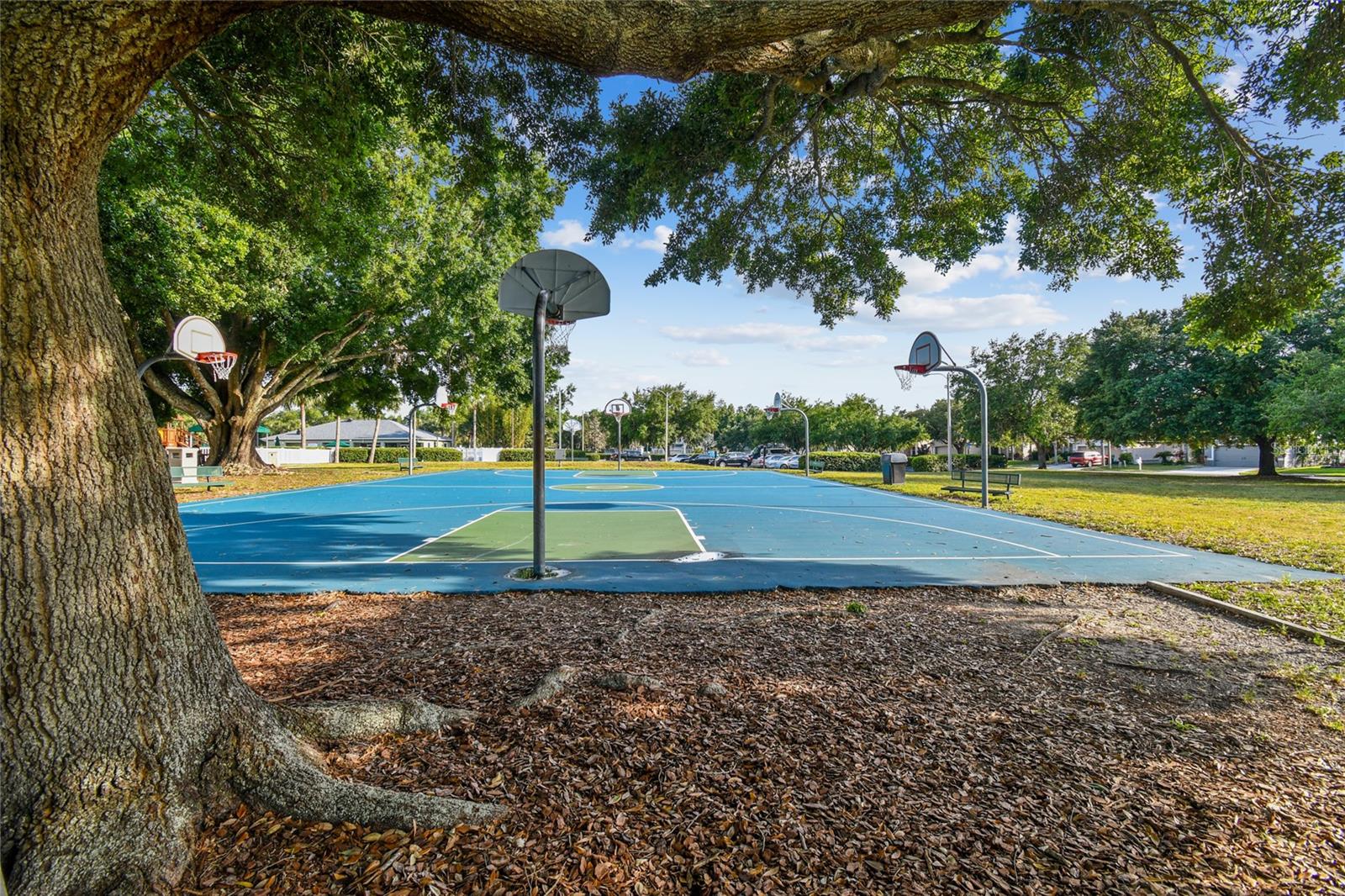 4723 WESSEX WAY, LAND O LAKES, FL, 34639