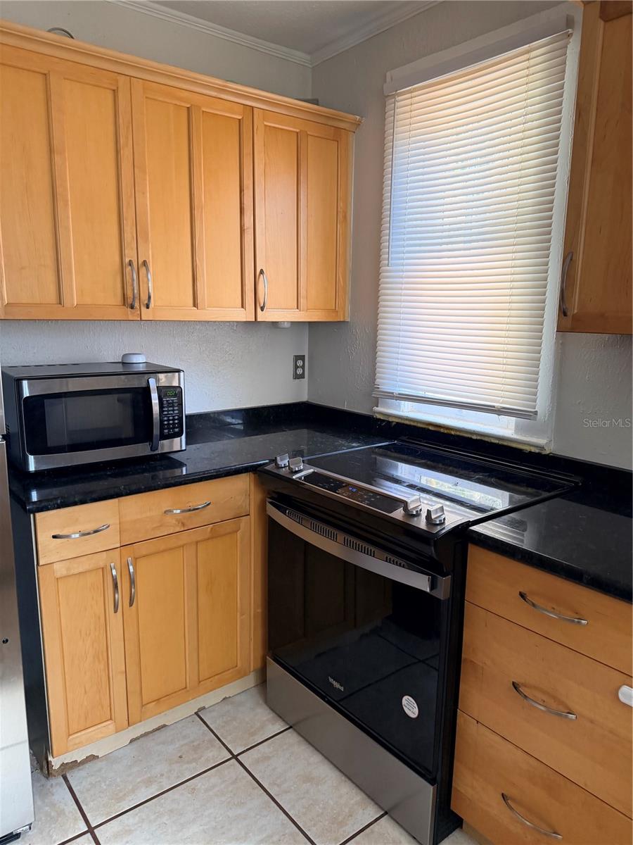 1004 PALMER ST, ORLANDO, FL, 32801