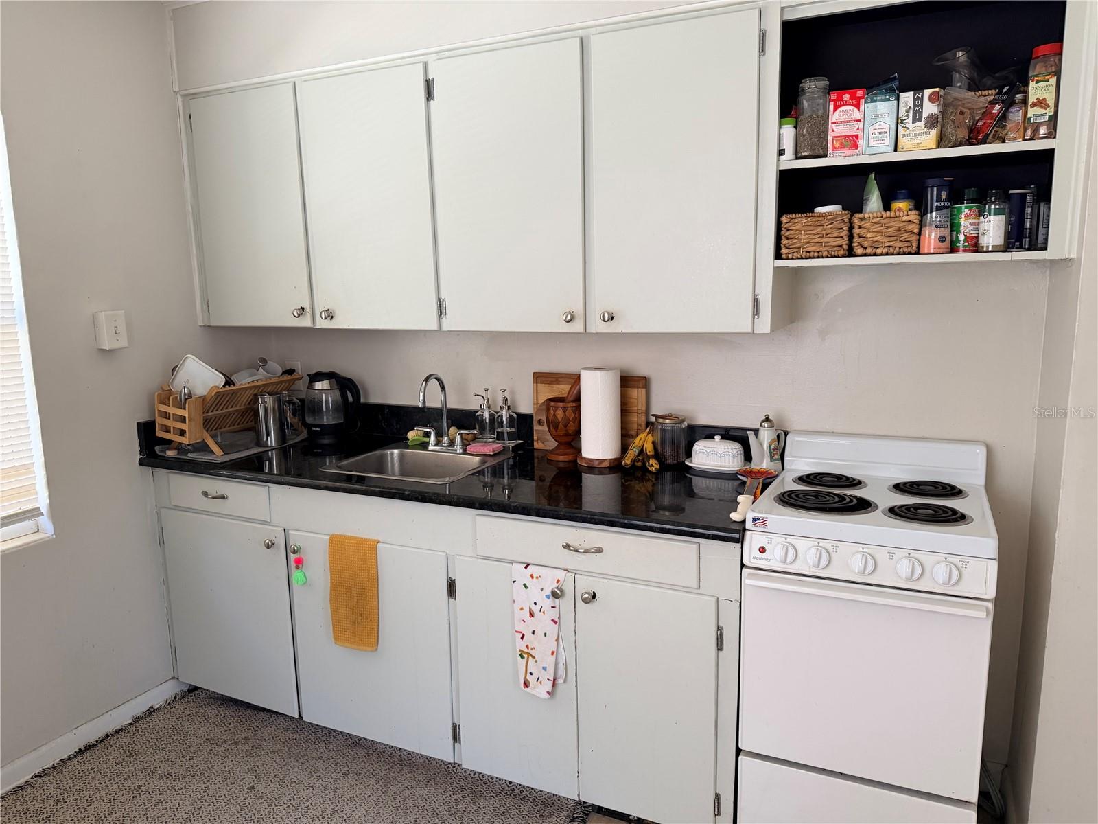 1004 PALMER ST, ORLANDO, FL, 32801