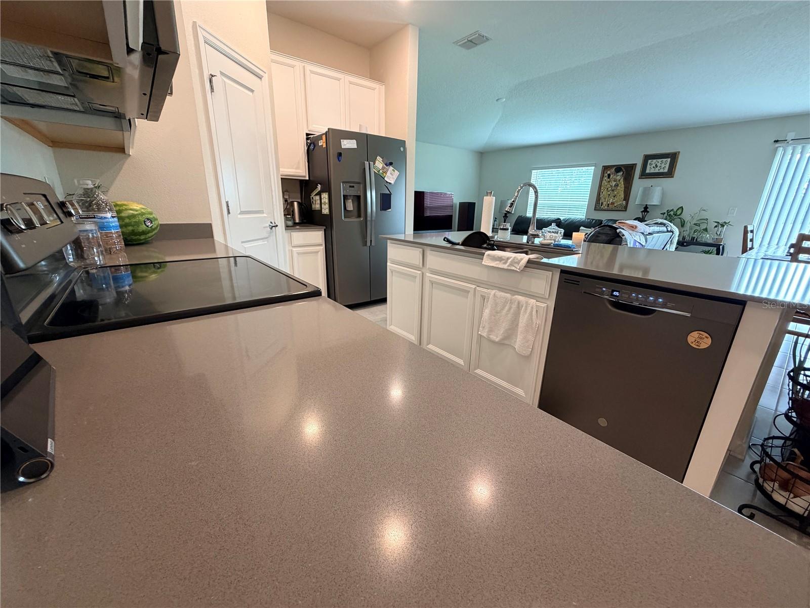 16419 GLASSY LOCH LOOP, CLERMONT, FL, 34714
