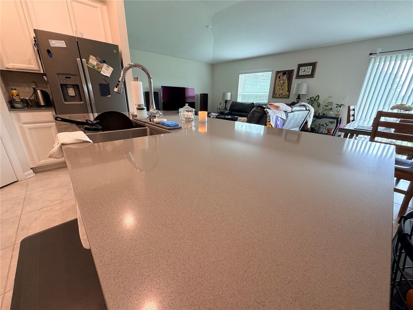16419 GLASSY LOCH LOOP, CLERMONT, FL, 34714