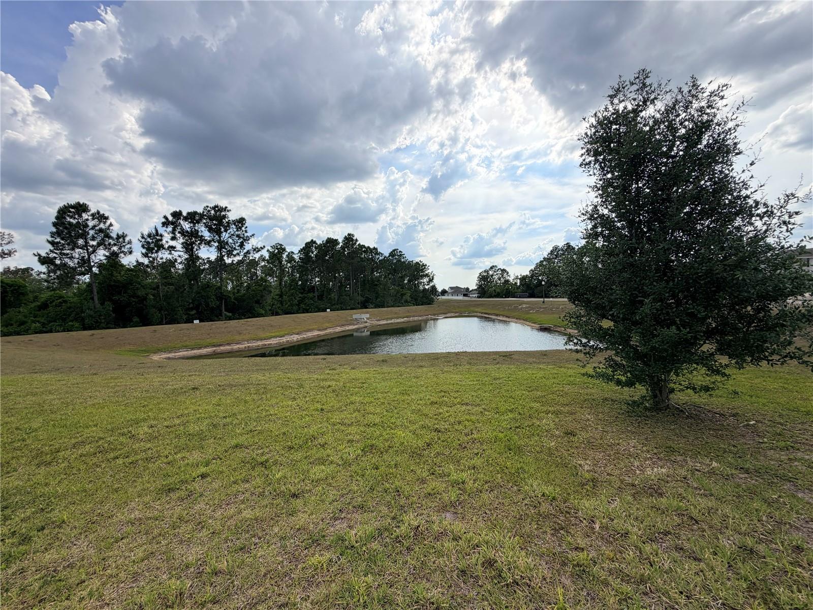 16419 GLASSY LOCH LOOP, CLERMONT, FL, 34714