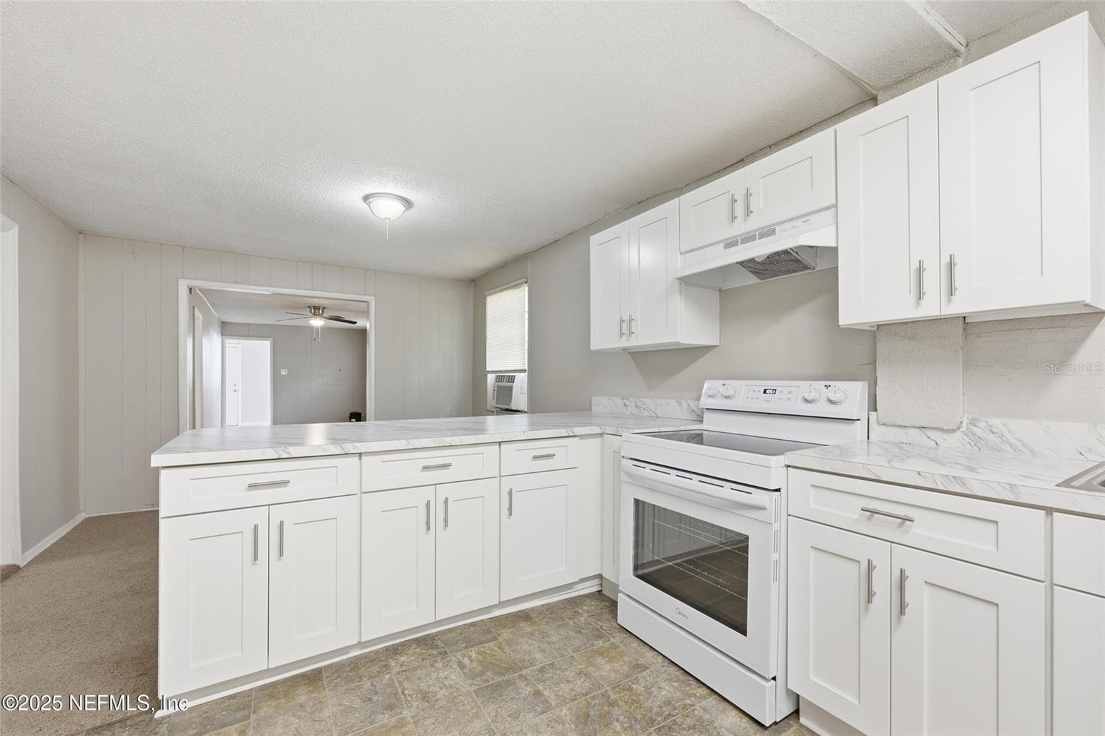 1217 W 29TH ST, JACKSONVILLE, FL, 32209