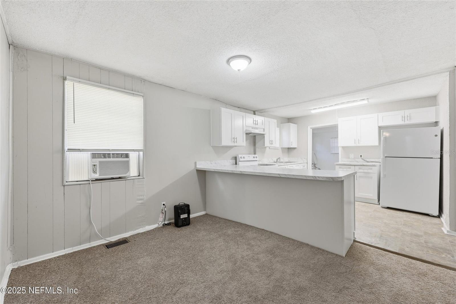 1217 W 29TH ST, JACKSONVILLE, FL, 32209