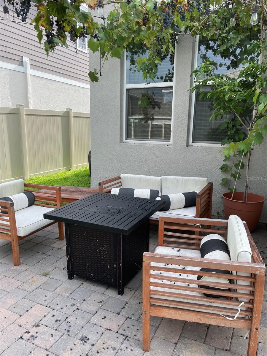 1447 ROXY LN, WINTER GARDEN, FL, 34787