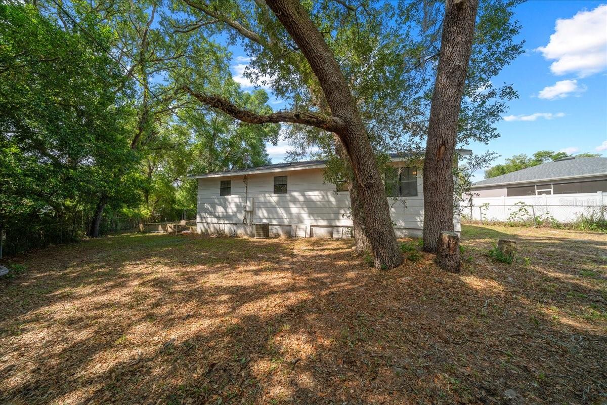 4103 HOLLY HL, LADY LAKE, FL, 32159