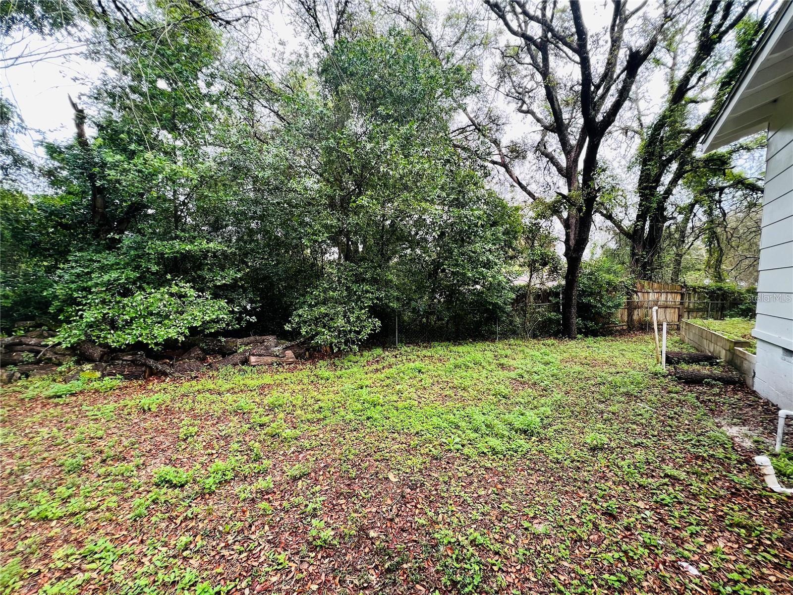 4103 HOLLY HL, LADY LAKE, FL, 32159