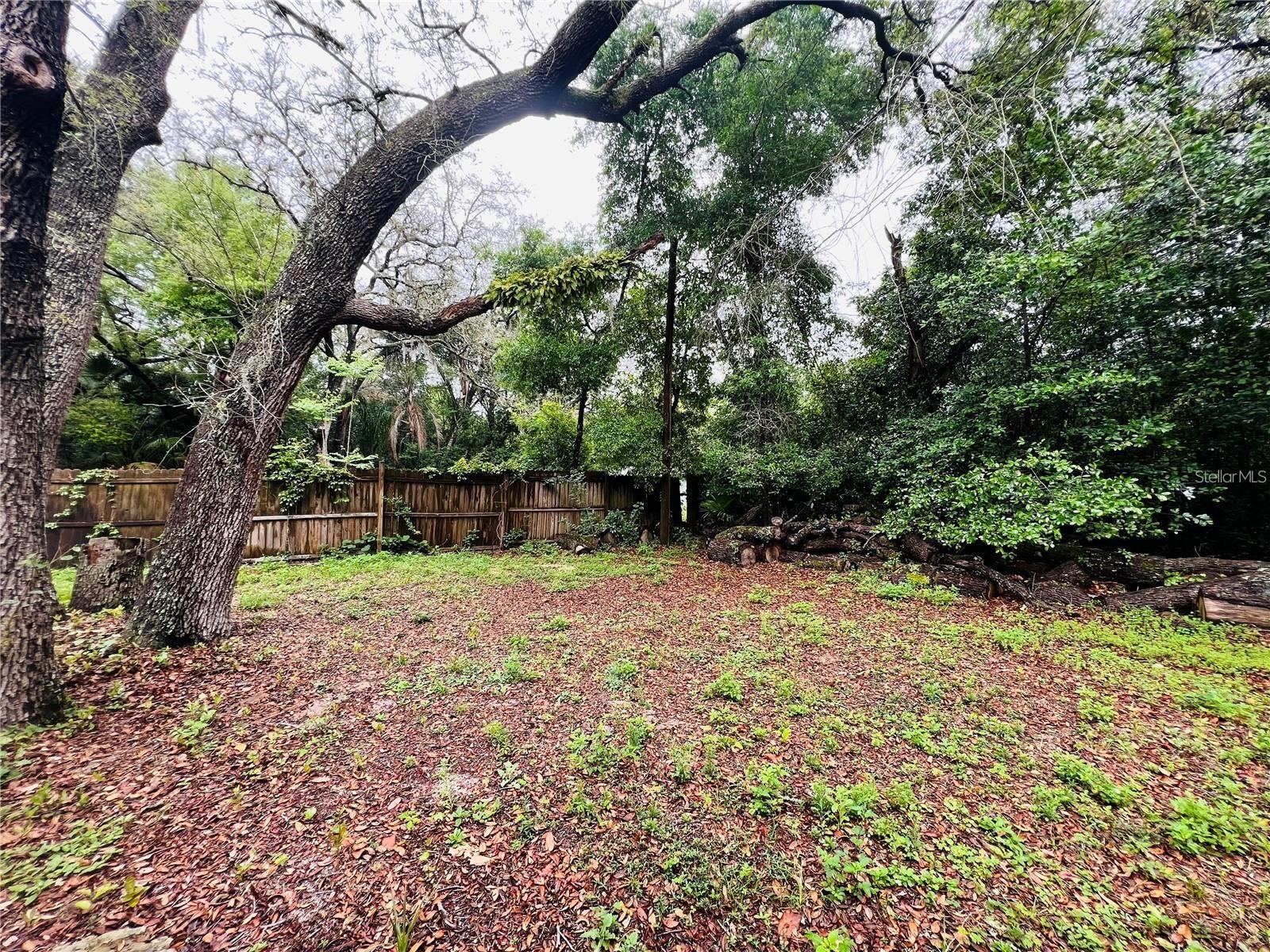 4103 HOLLY HL, LADY LAKE, FL, 32159