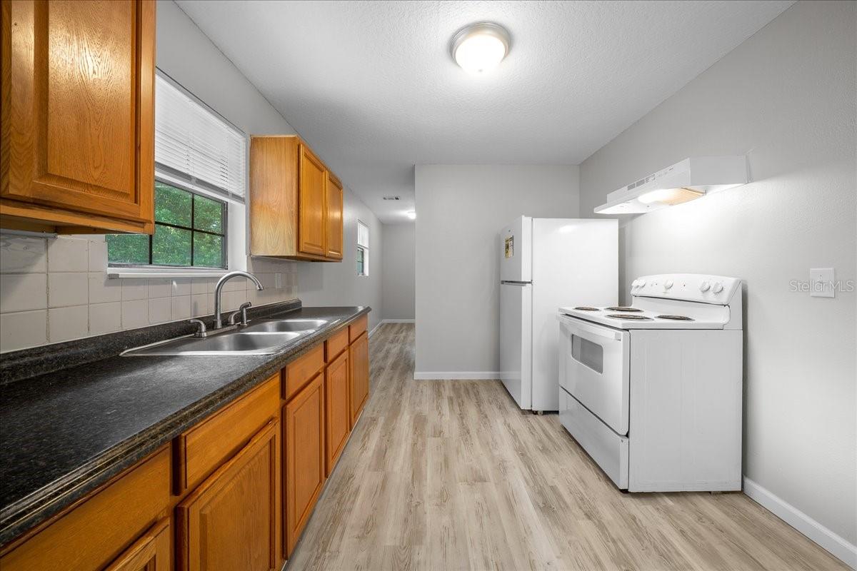 4103 HOLLY HL, LADY LAKE, FL, 32159