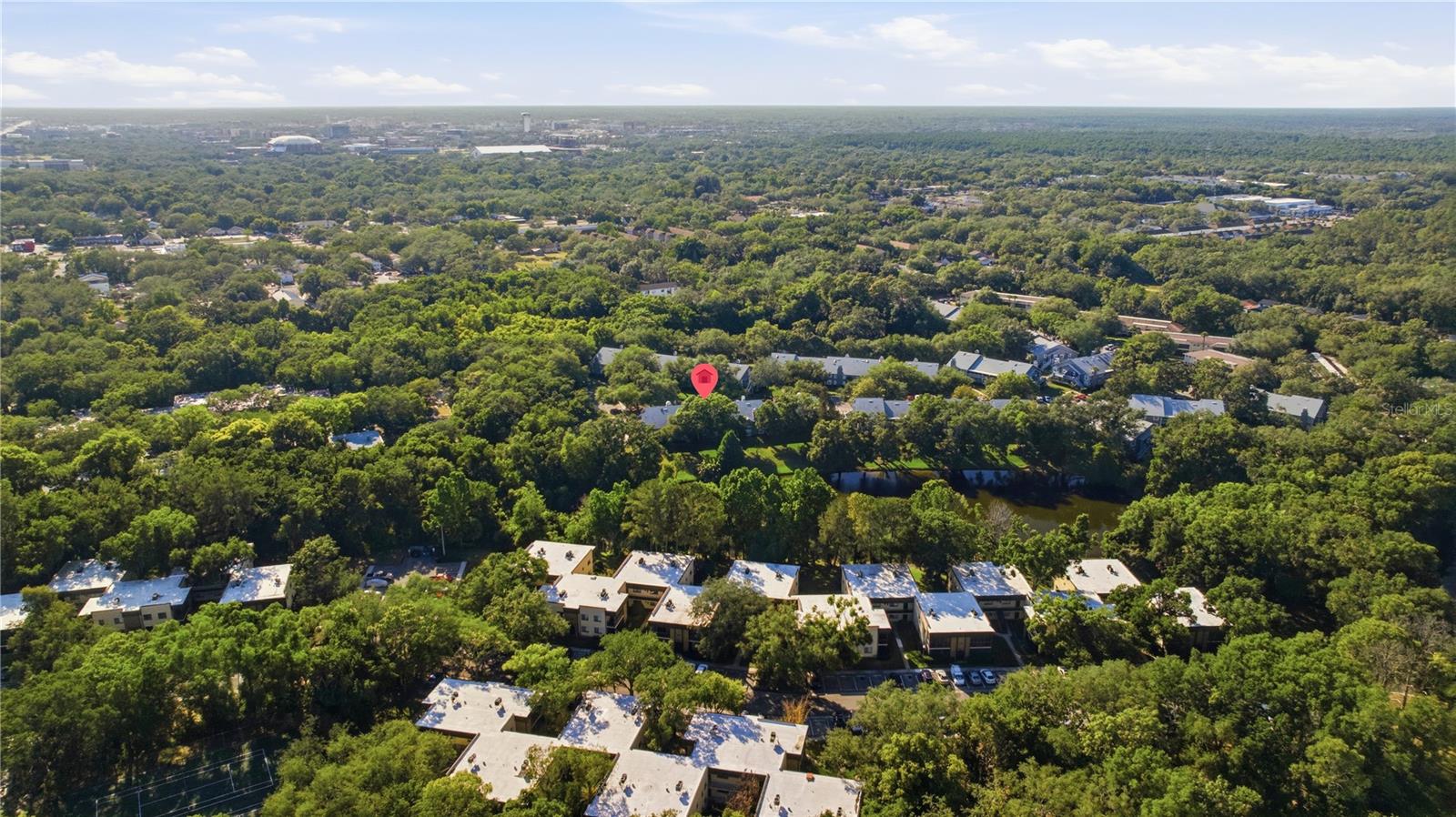 11817 SKYLAKE PL #H, TEMPLE TERRACE, FL, 33617