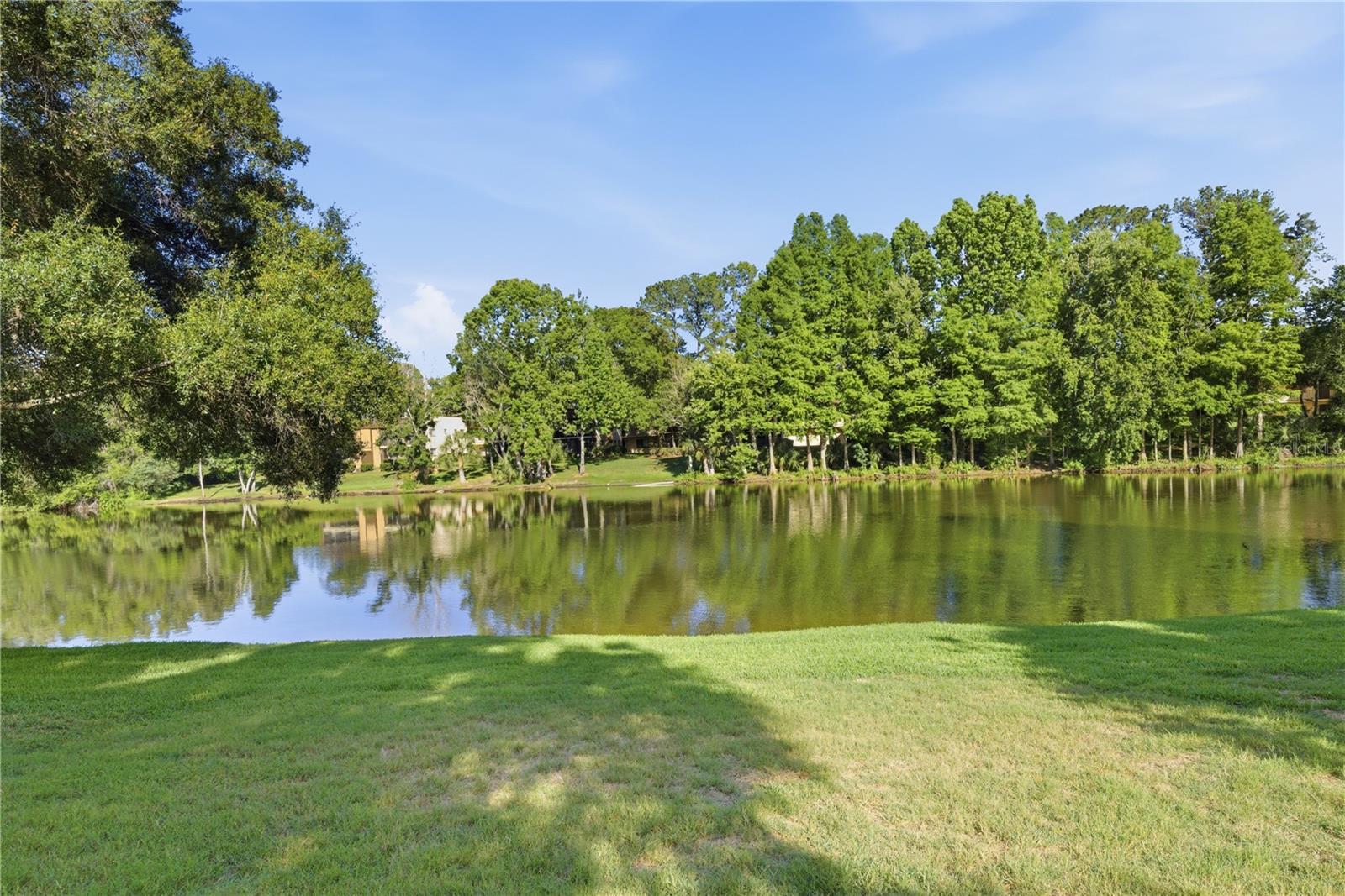 11817 SKYLAKE PL #H, TEMPLE TERRACE, FL, 33617