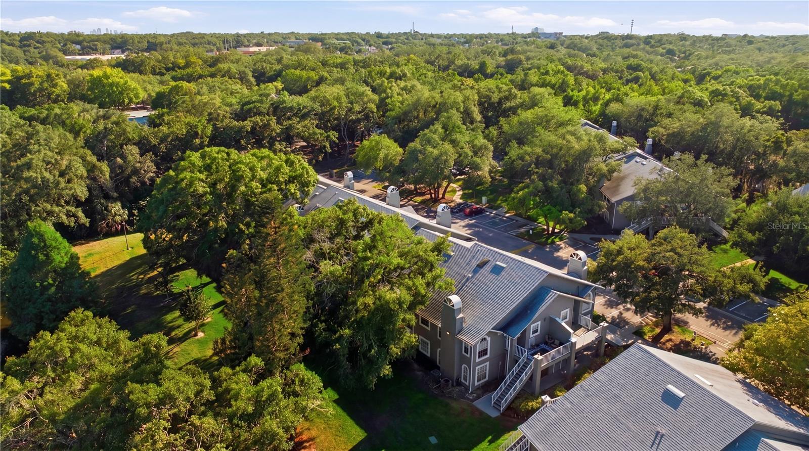 11817 SKYLAKE PL #H, TEMPLE TERRACE, FL, 33617