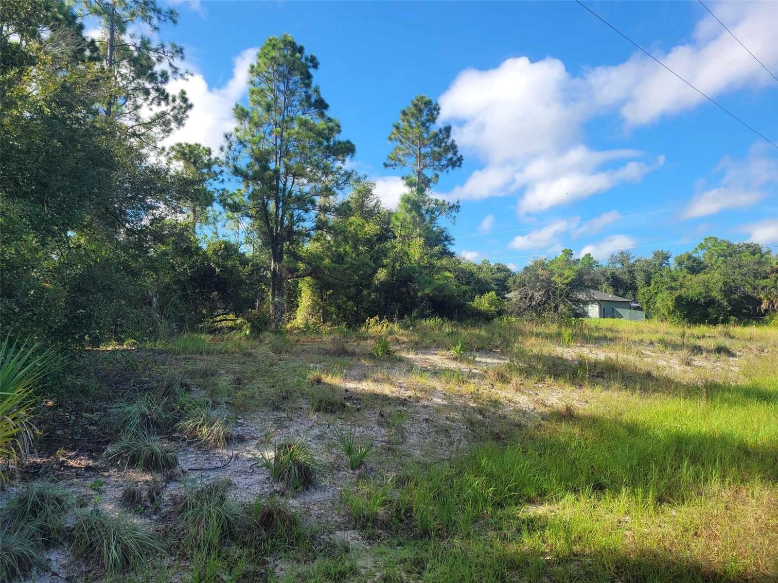 SCENIC RD, NORTH PORT, FL, 34288