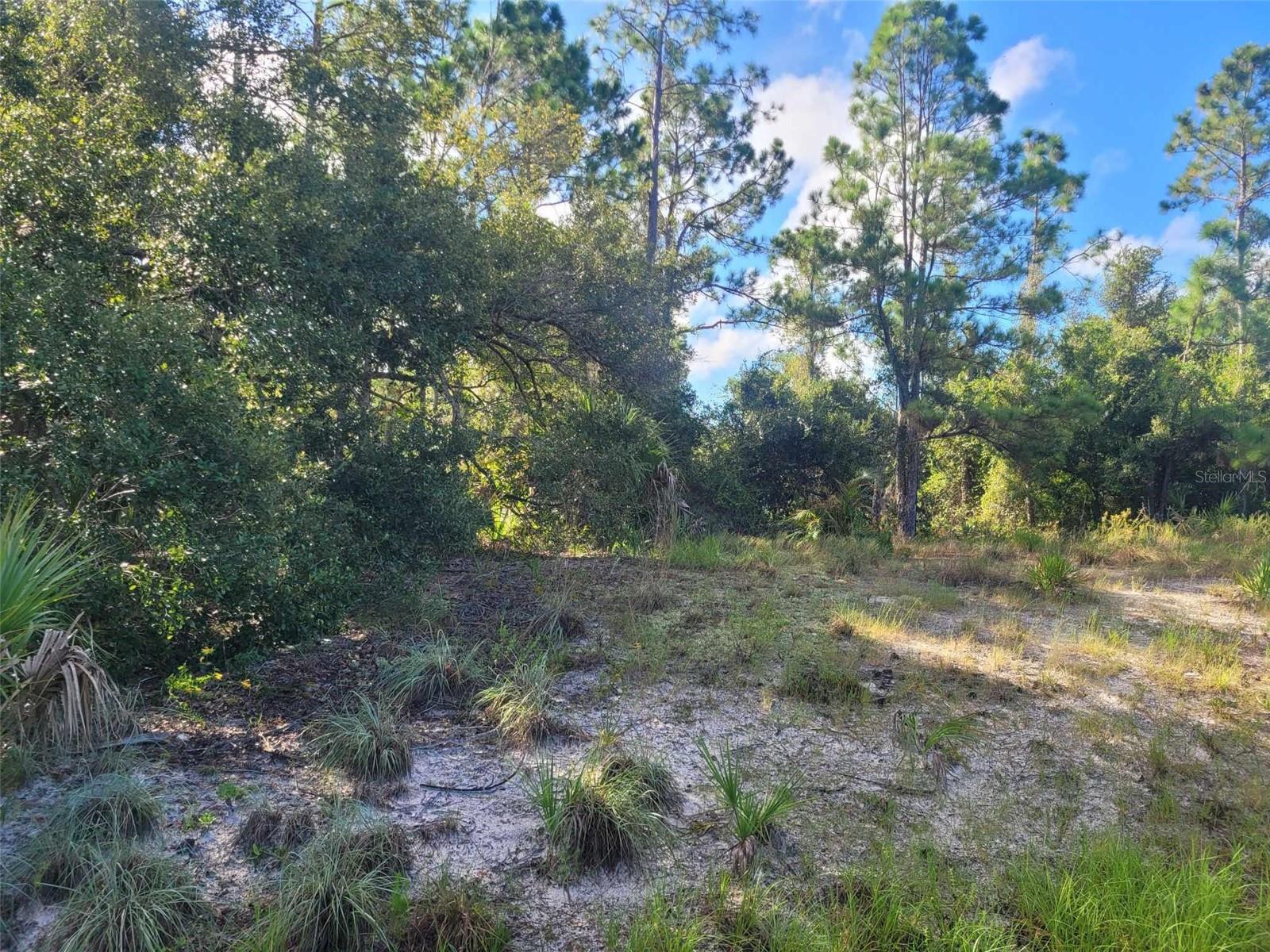 SCENIC RD, NORTH PORT, FL, 34288