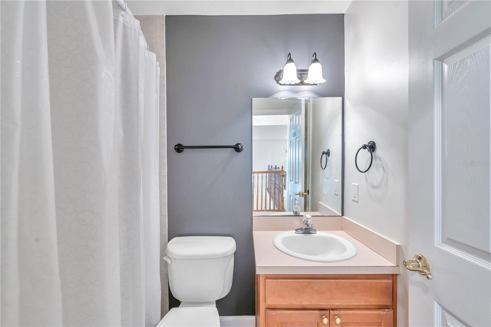 1507 W WINDHORST RD, BRANDON, FL, 33510